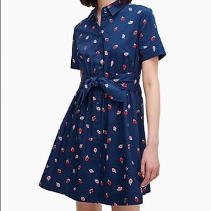 🍓Kate spade wild strawberries tie-waist mini dress🍓